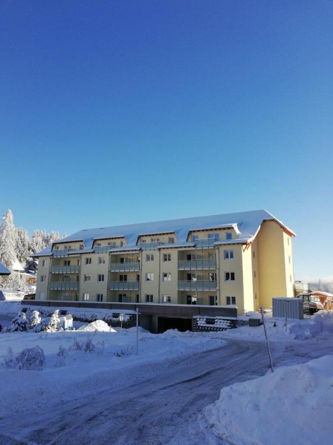 Residenz-Grafenmatt-Feldberg-Schwarzwald Διαμέρισμα Feldberg  Εξωτερικό φωτογραφία