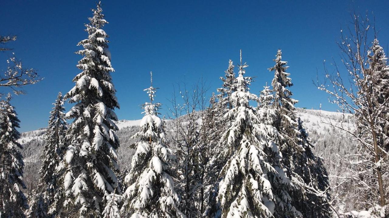 Residenz-Grafenmatt-Feldberg-Schwarzwald Διαμέρισμα Feldberg  Εξωτερικό φωτογραφία